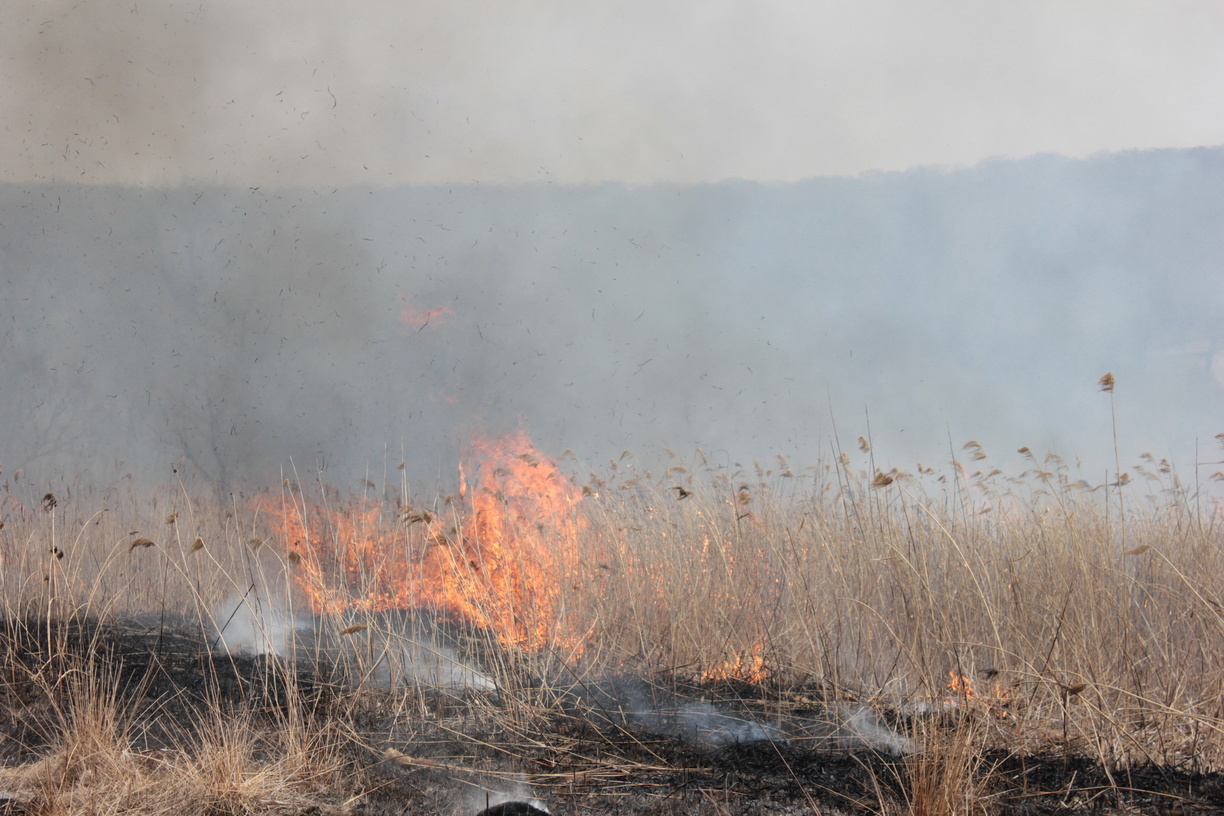 Мэр горевшего свердловского поселка обвинил в пожаре «особо одаренных» жителей