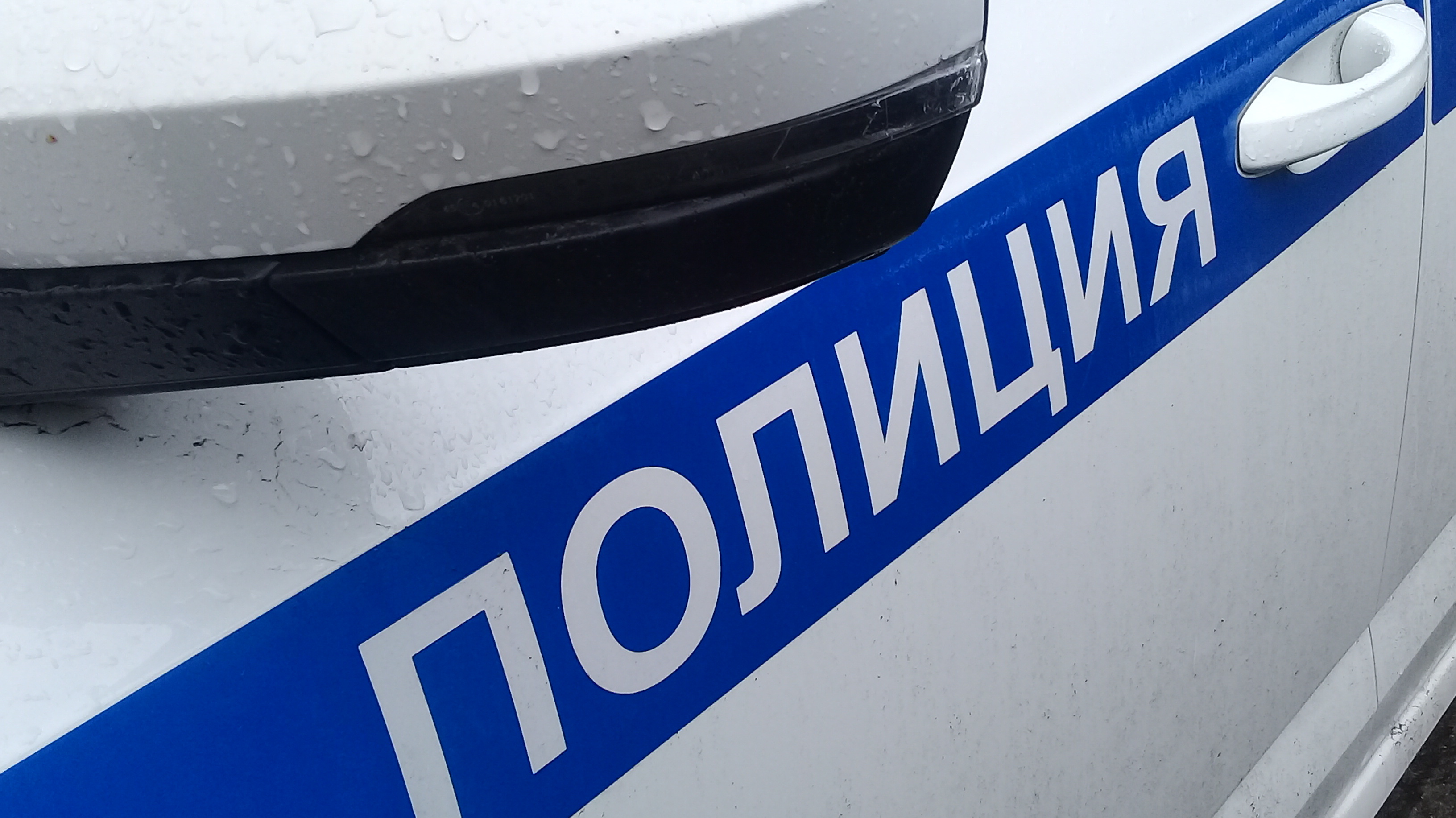 За избиение водителя Renault в Екатеринбурге задержан южанин