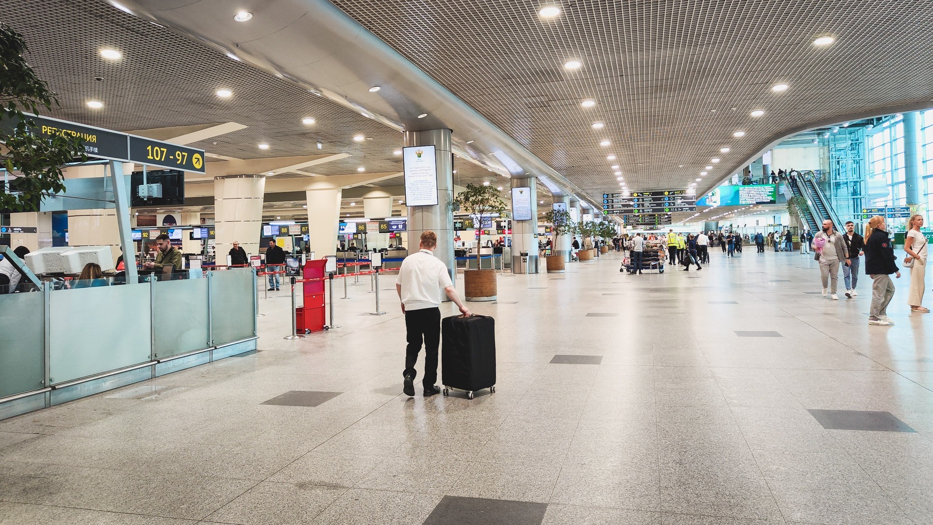 В аэропорту Кольцово в Екатеринбурге выявили опасный мед у пассажиров из Таджикистана