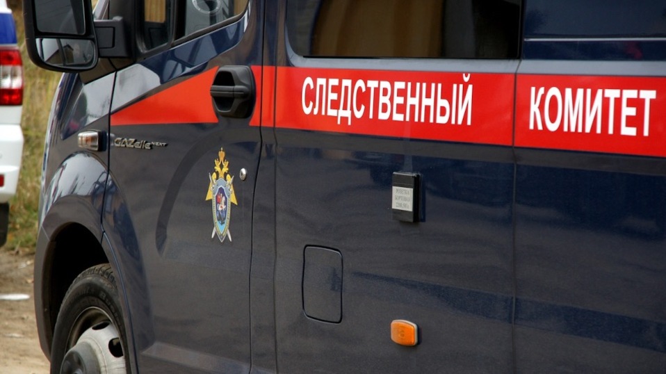 Сестра погибшего Далера рассказала подробности смерти мальчика в Екатеринбурге