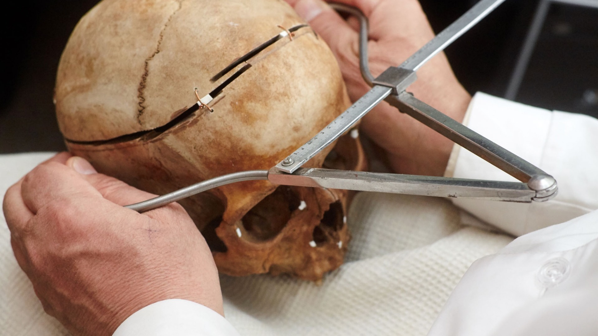 В Екатеринбурге на ЖБИ обнаружили останки черепа человека