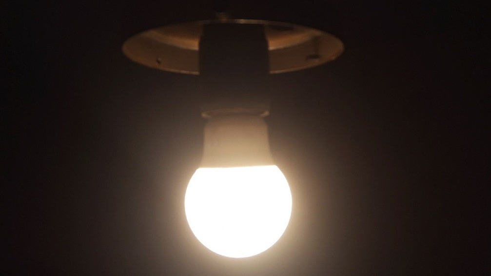 Из-за упавшего тополя в Екатеринбурге дома остались без света