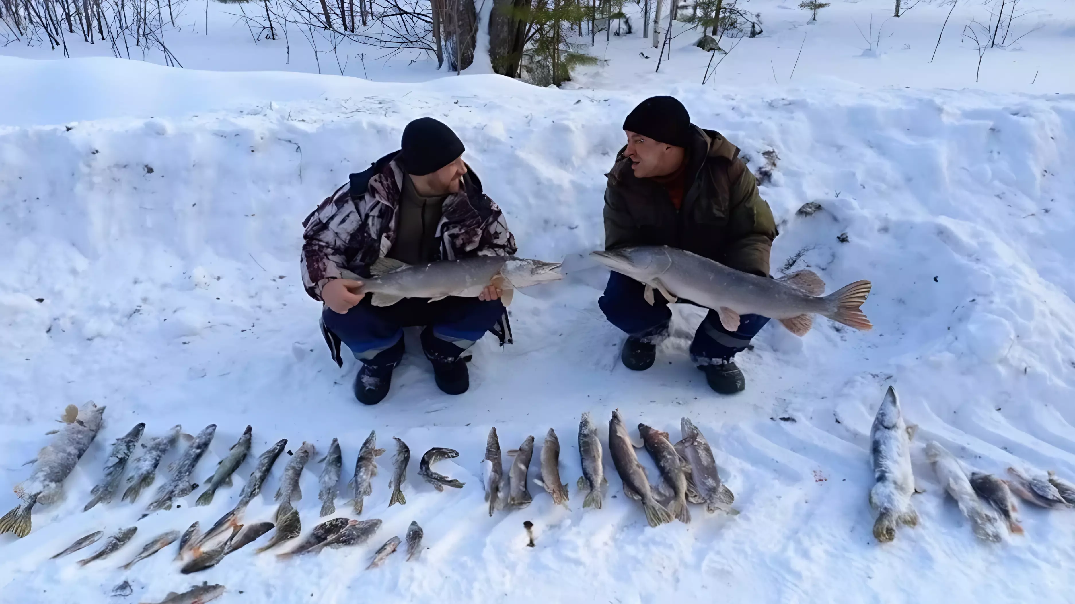 Рыбаки Свердловской области выловили щук 4 и 6 килограммов