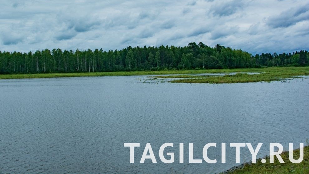 Иван-озеро под Нижним Тагилом не восстановилось после эко-бедствия 2021 года
