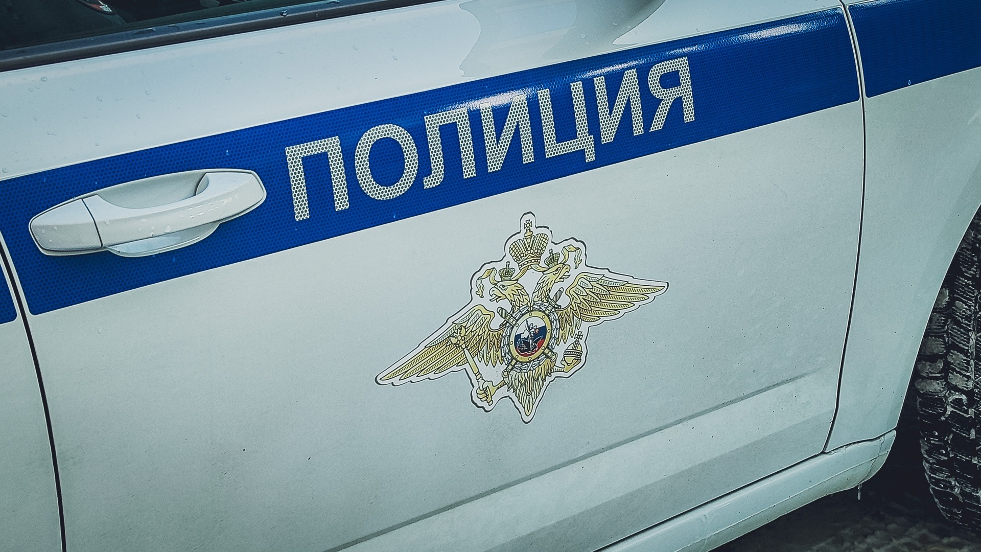 В Екатеринбурге полиция задержала девушку на митинге в честь Дня ВДВ