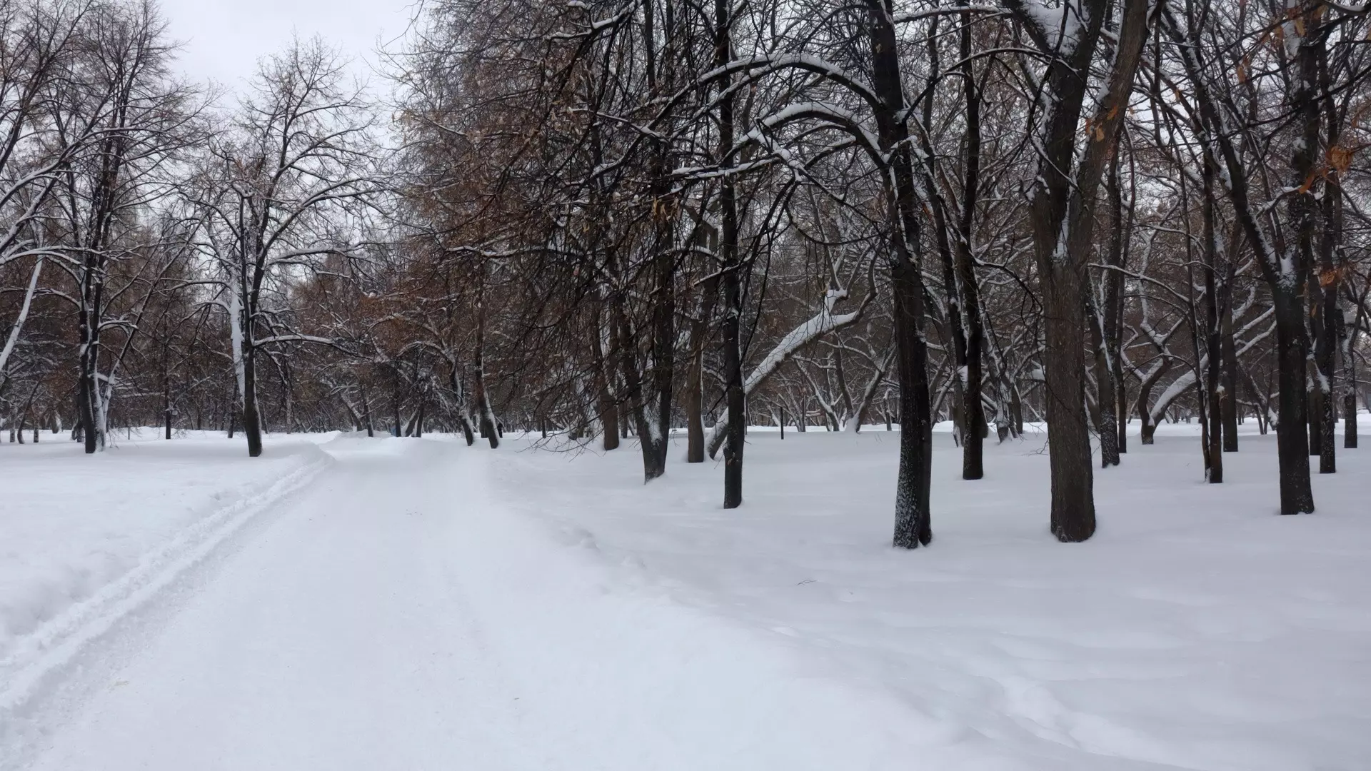 Повышение температуры прогнозируется в Свердловской области