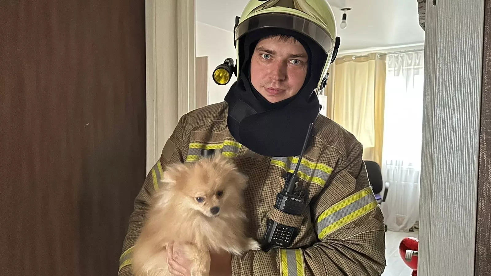 В Нижнем Тагиле пожарный спас из огня двух собак