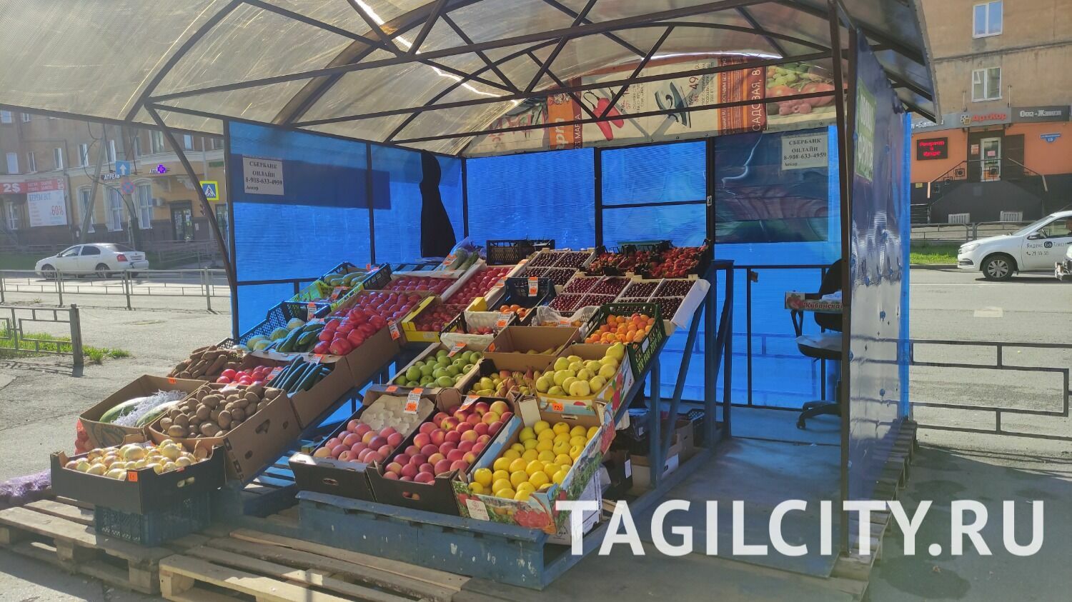 Где купить клубнику в Нижнем Тагиле