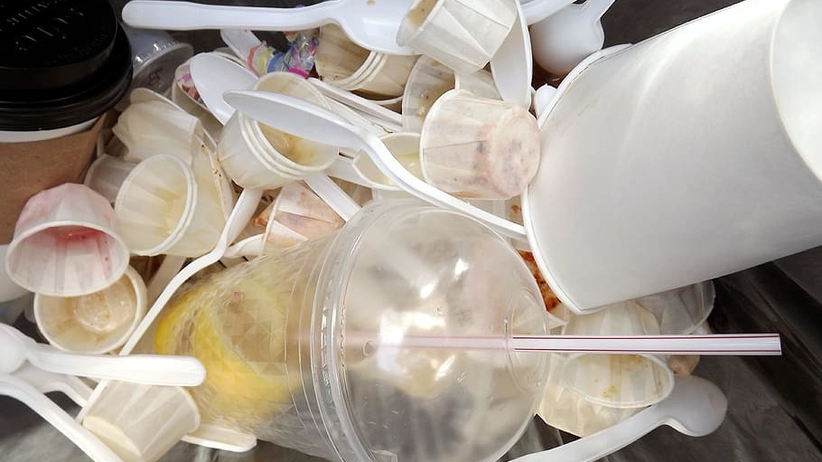 РЭО: Краснодарский край и Крым уйдут от использования одноразовой пластиковой посуды