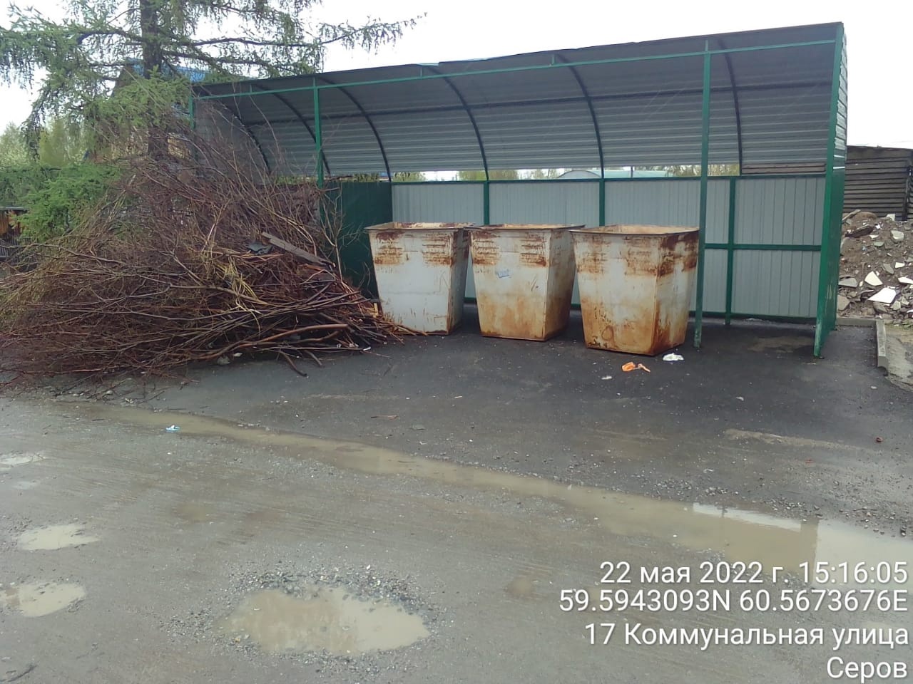 140 случаев навалов веток рядом с мусорными контейнерами выявлены на Урале