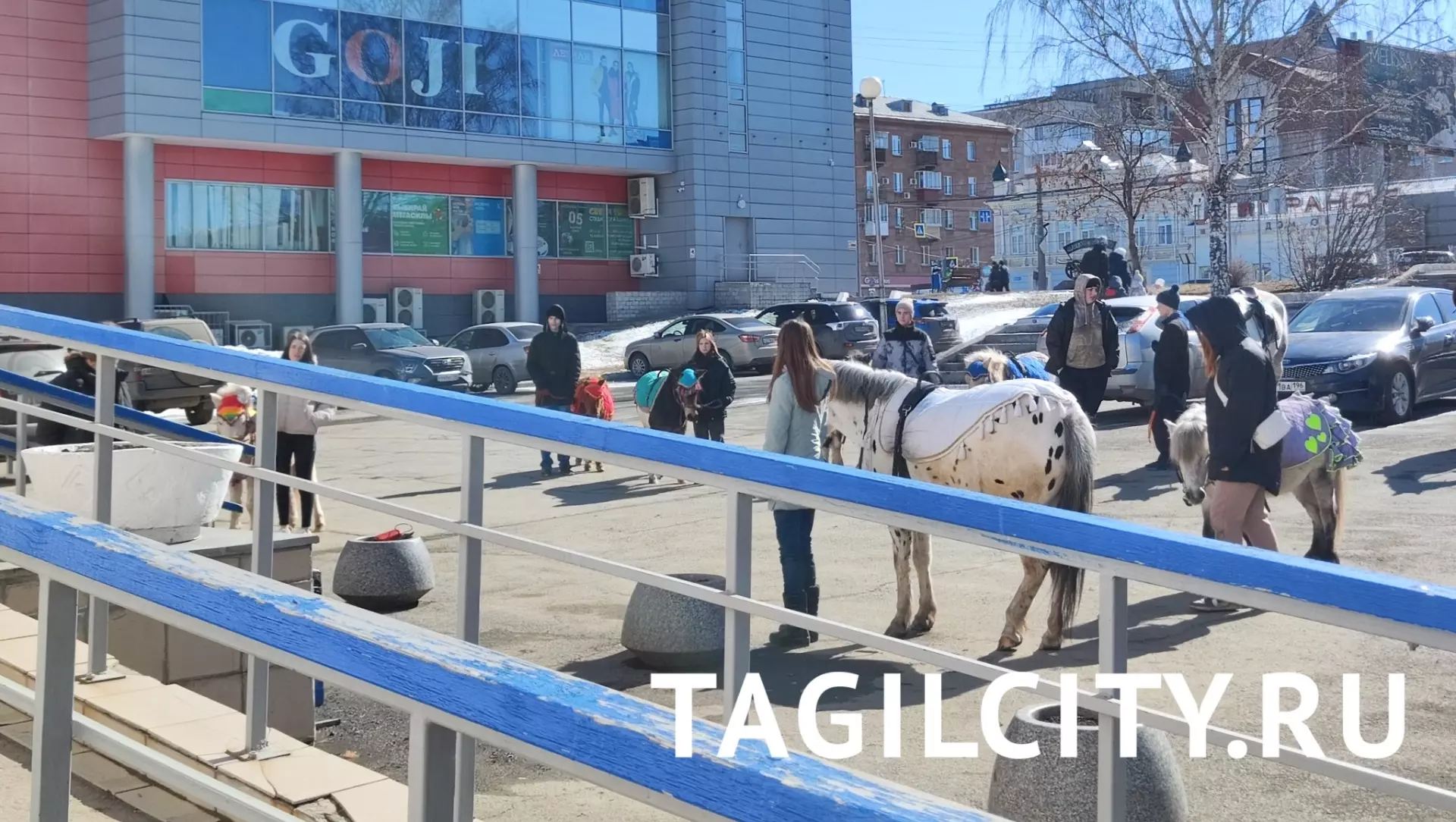 Табун лошадей перекрыл вход в Нижнетагильский театр кукол