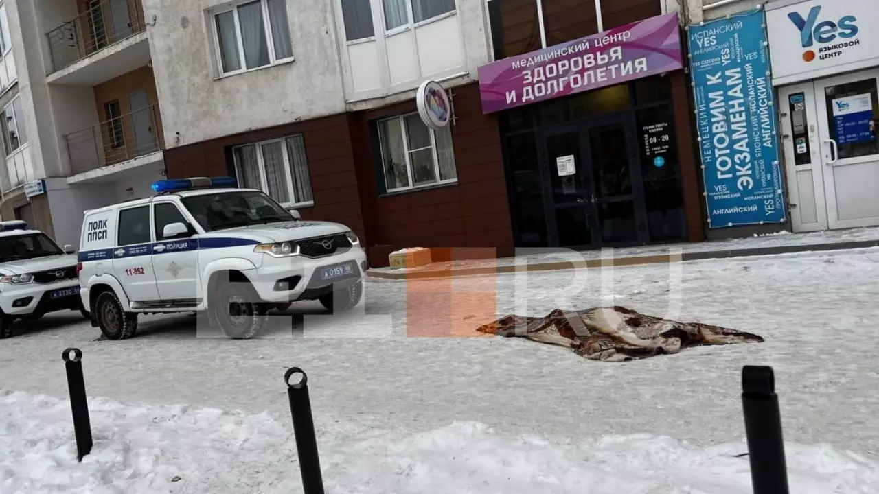 В Екатеринбурге под окнами многоэтажки найден труп девушки