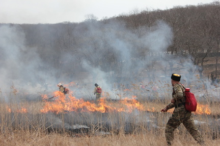 Волонтеров обучат работать на лесных пожарах в Свердловской области
