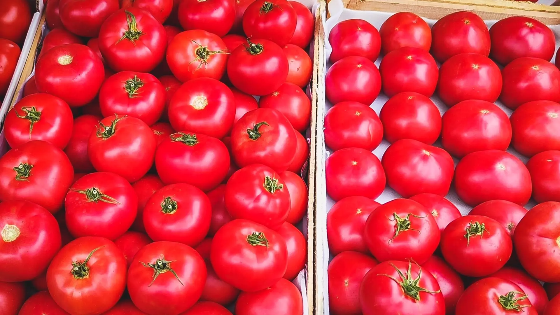 Около 20 тонн зараженных помидоров из Узбекистана привезли в Екатеринбург