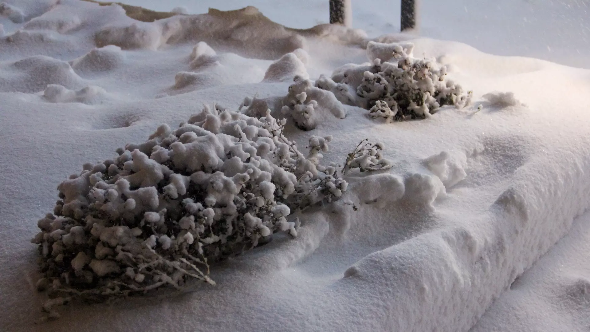 Синоптик назвал дату окончания снегопадов в Свердловской области