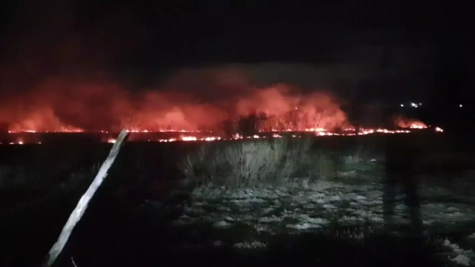 Крупный природный пожар около бывшего завода вспыхнул под Ревдой