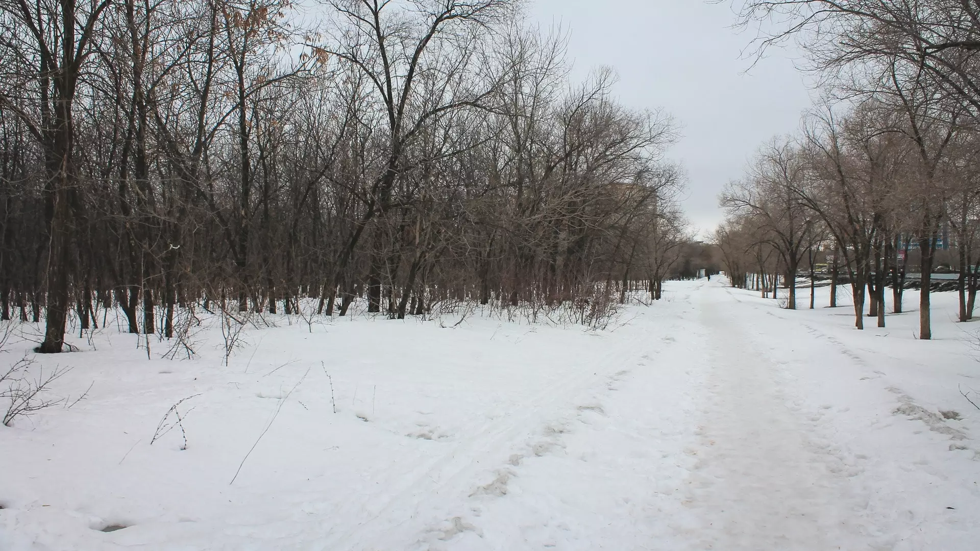 Аномальное тепло ожидается в Свердловской области