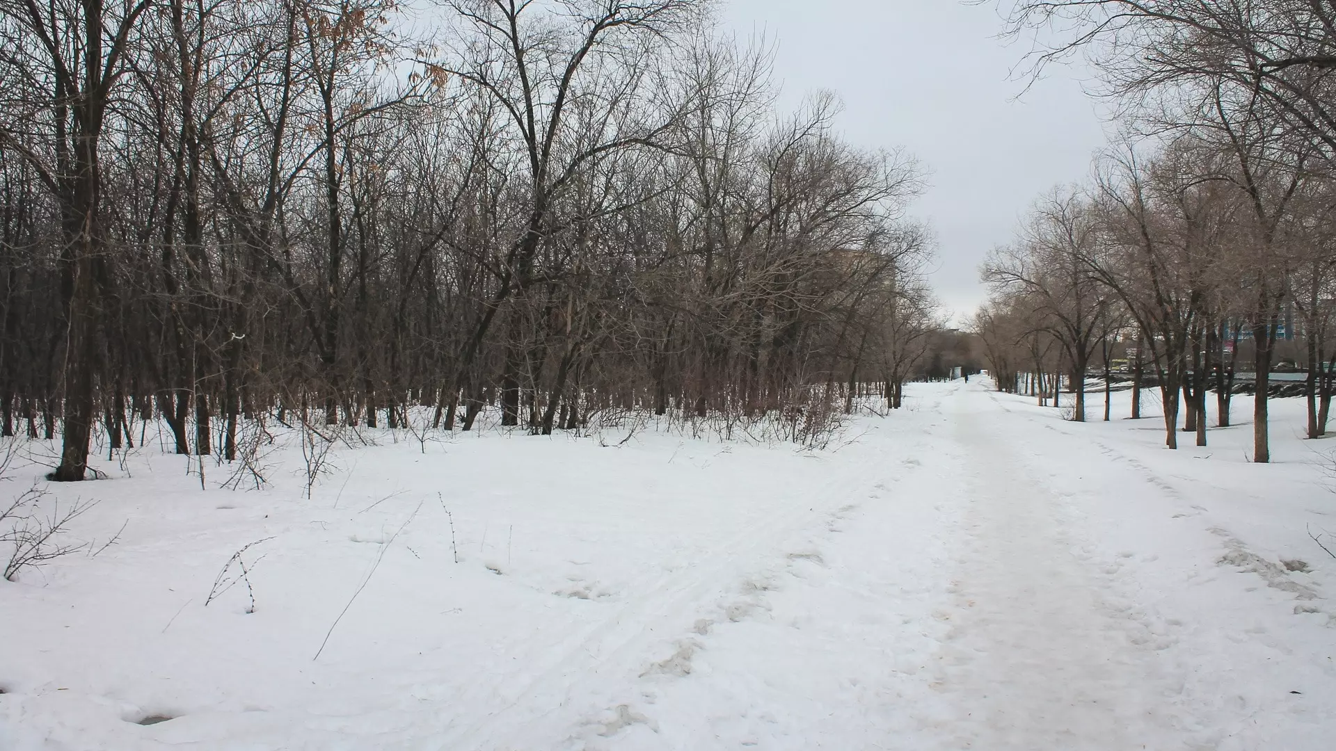Похолодание и снег надвигаются на Свердловскую область