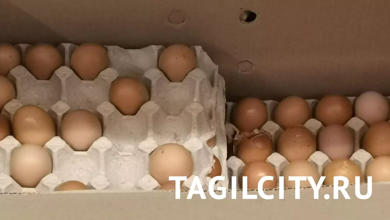 Цена на яйца в Нижнем Тагиле снизилась до 119 рублей