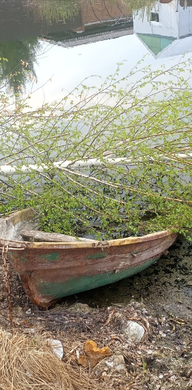 Брошенные лодки на Черноисточинском пруду