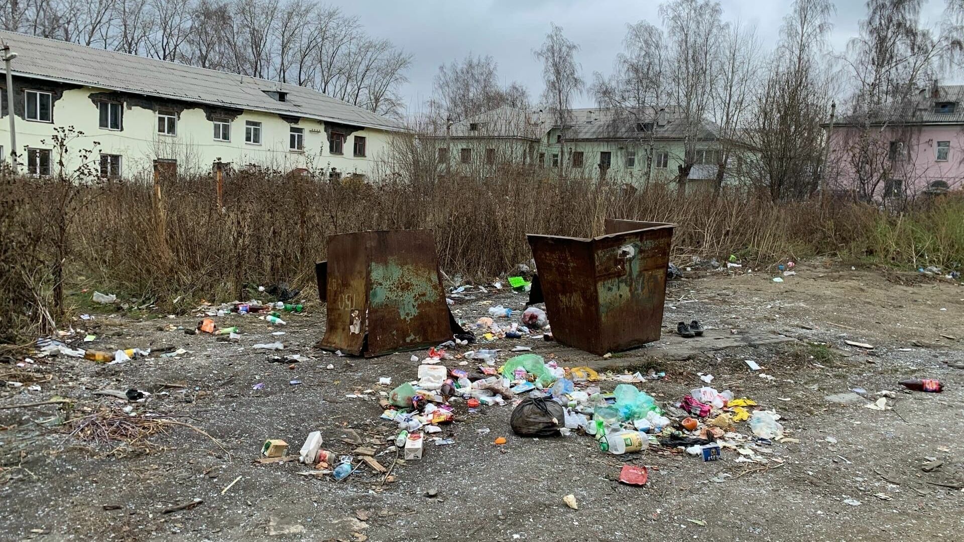 Два двора на Сухоложском в Нижнем Тагиле зарастают мусором из-за разлада УК и ТСЖ