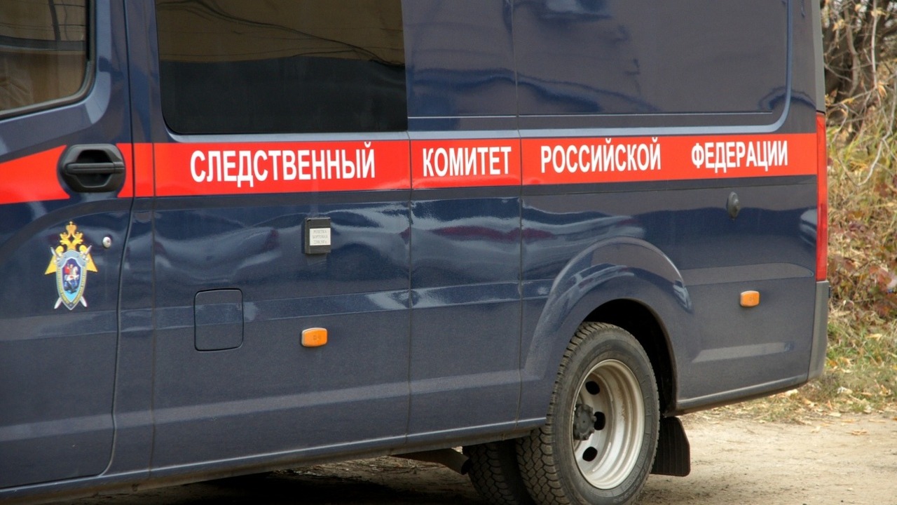 В СК рассказали о найденных в Екатеринбурге мумиях отца и сына