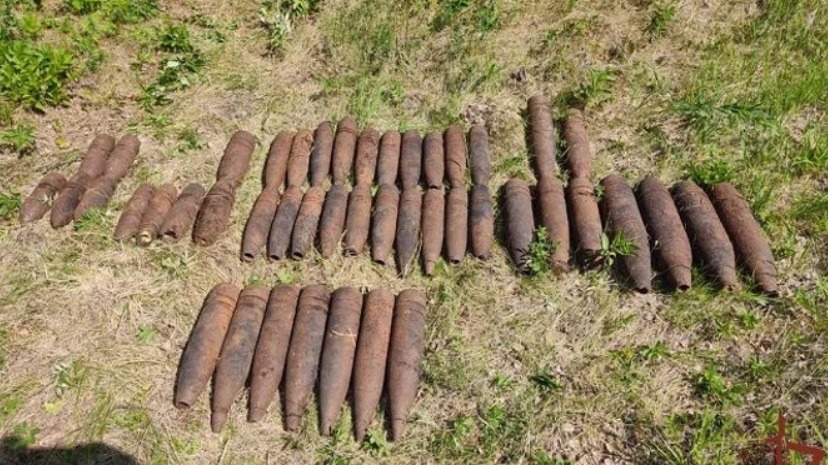 Полсотни опасных боеприпасов в лесу обнаружили грибники из Березовского