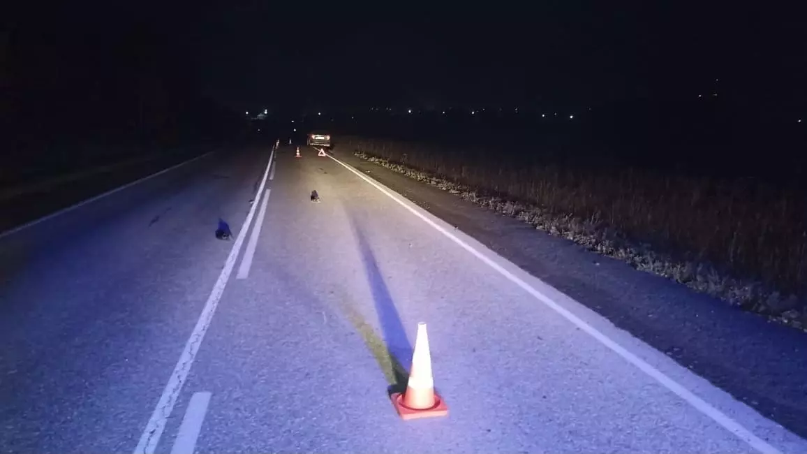 Пешеход погиб под колесами иномарки на трассе в Свердловской области