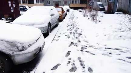 Рано утром голый мужчина прошелся по заснеженной дороге в Екатеринбурге