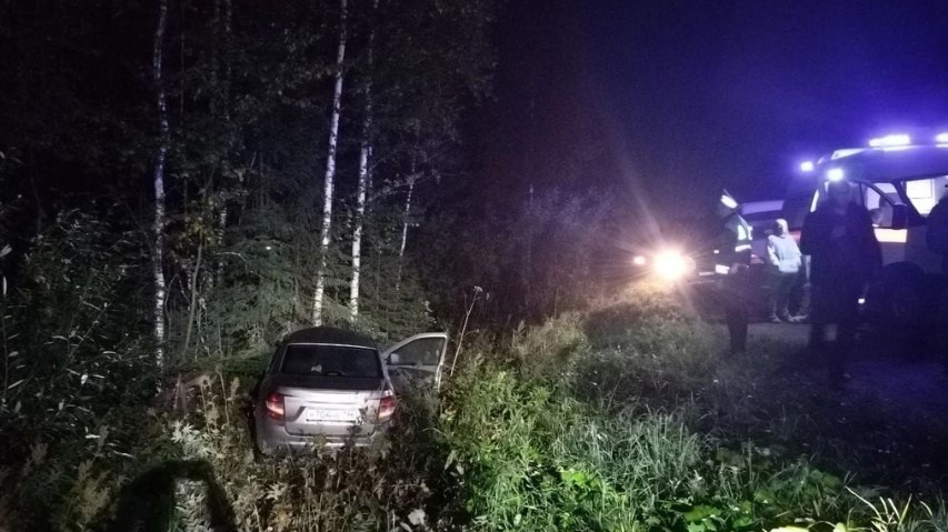 Водитель погиб под Нижним Тагилом после столкновения с лосем