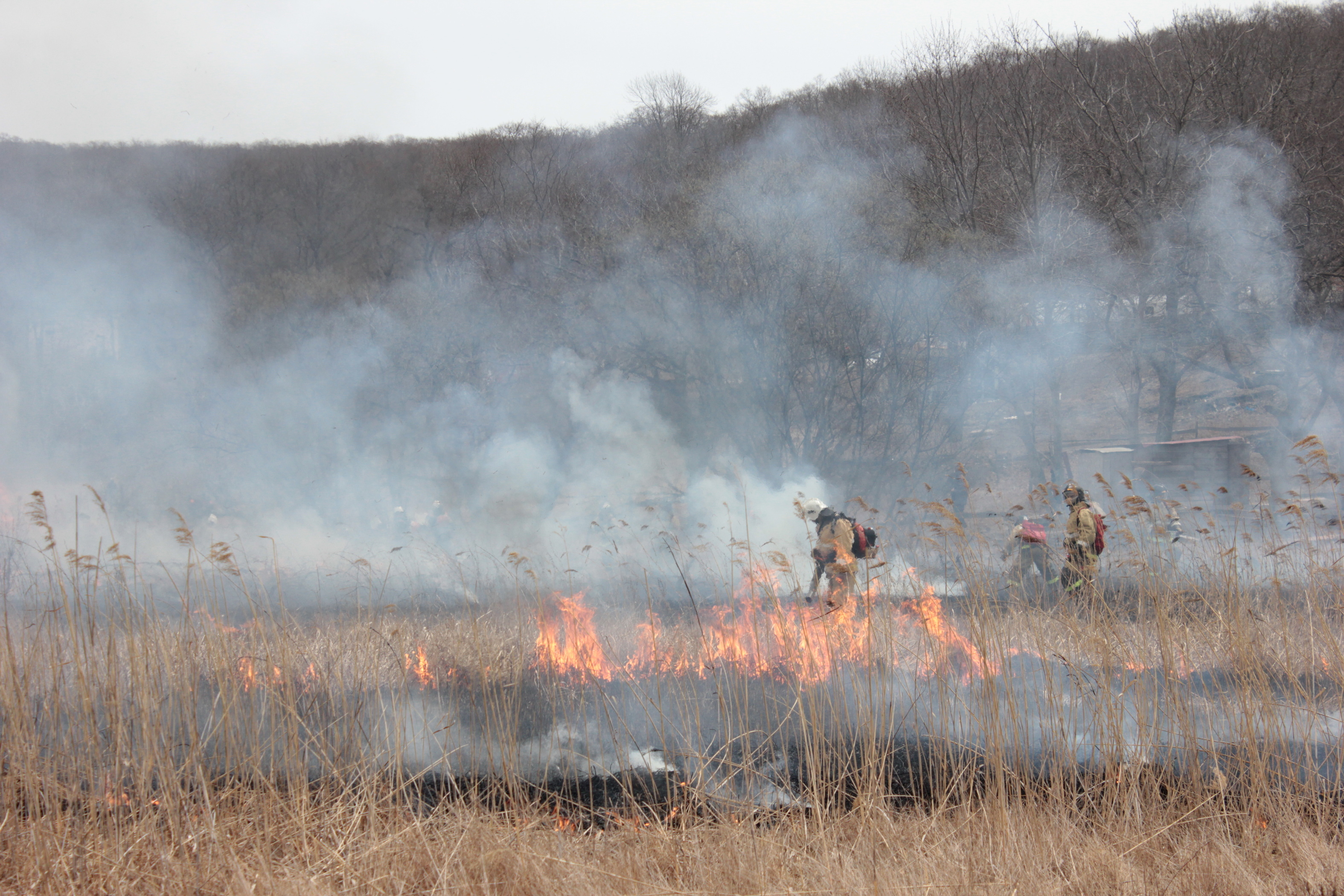 Площадь лесного пожара в Свердловской области выросла до 240 гектаров