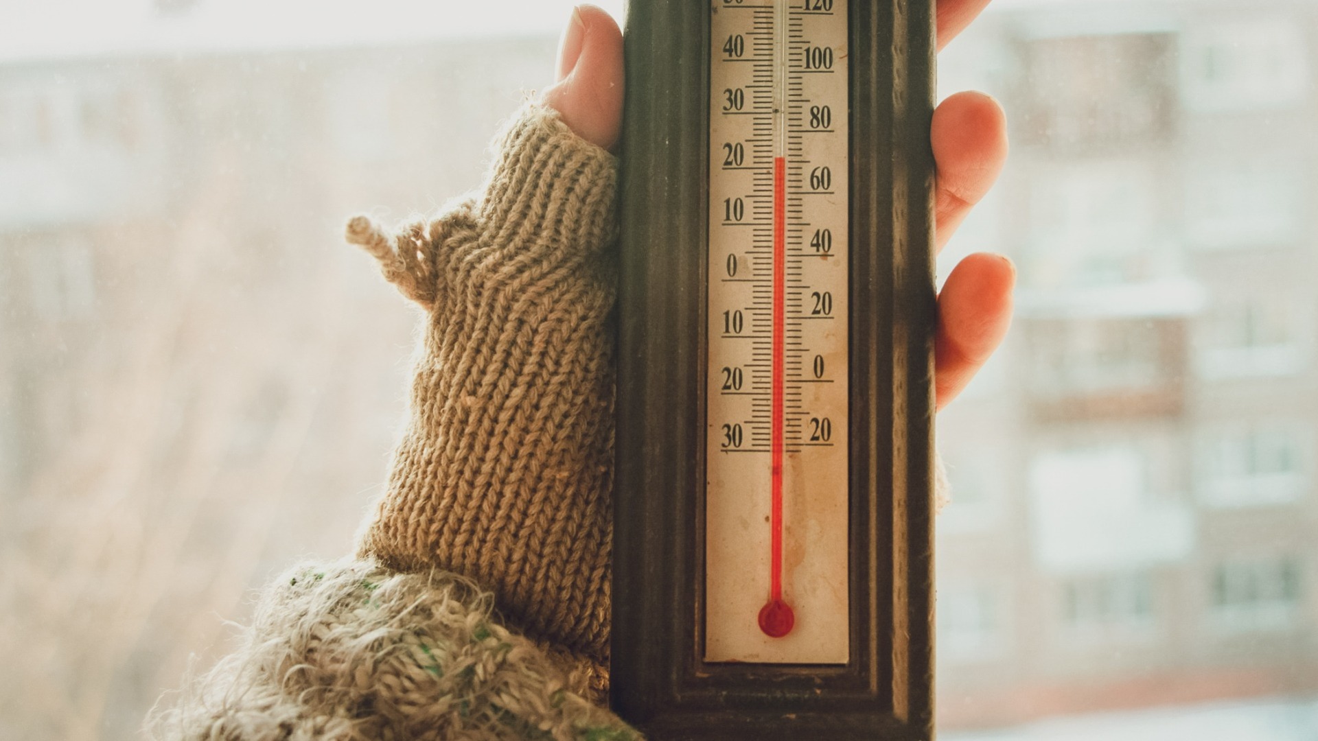 Аномальные холода в Свердловской области не ожидаются