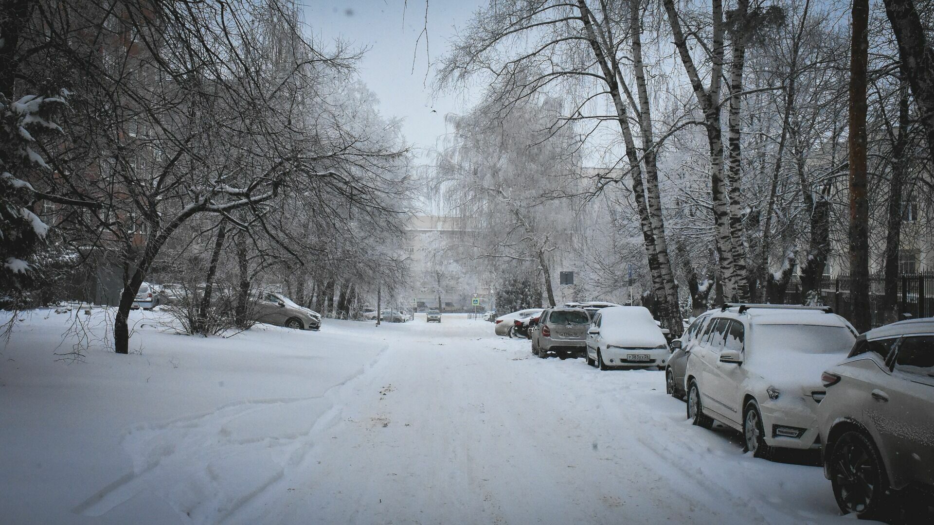Снегопад накрыл Свердловскую область