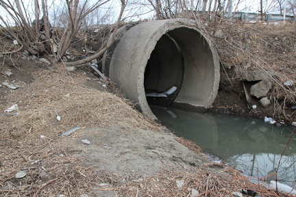Нефтяные пятна появились на поверхности двух рек на Уктусе в Екатеринбурге