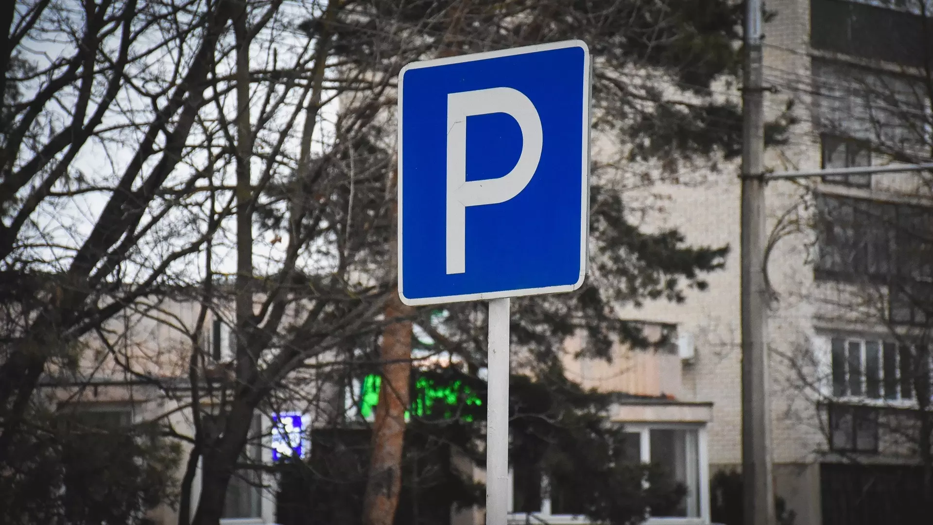 Бесплатно парковаться смогут жители Екатеринбурга в майские праздники