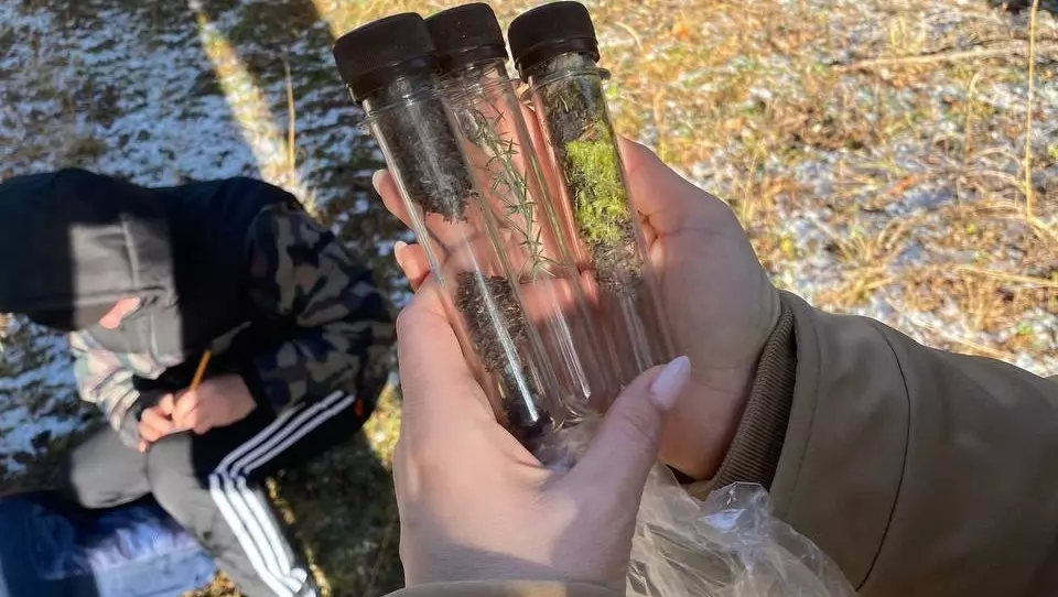 Школьники Североуральска проанализируют почву в лесу и на городской свалке