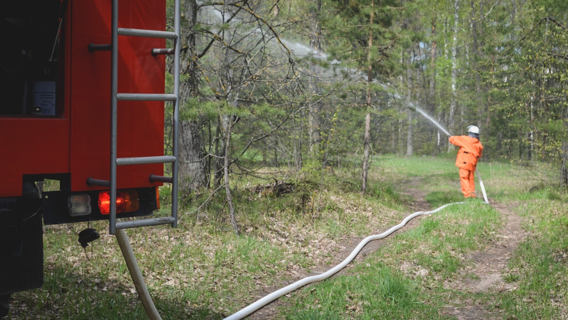 Риск возникновения лесных пожаров возрос в Свердловской области