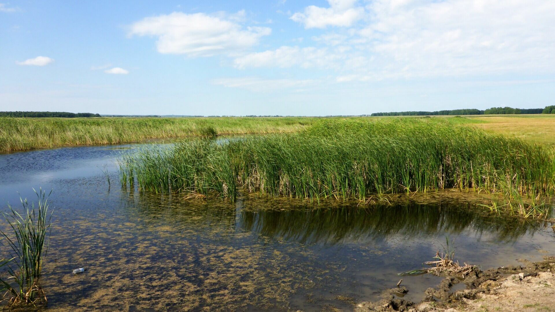 Свердловская область заняла 1 место по числу отравленных водоемов России