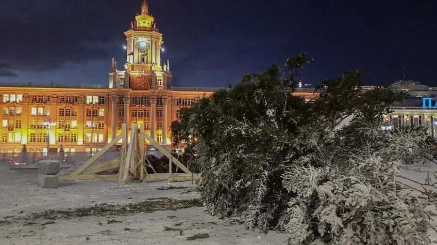 В Екатеринбурге ночью привезли 30-метровую ель для Ледового городка