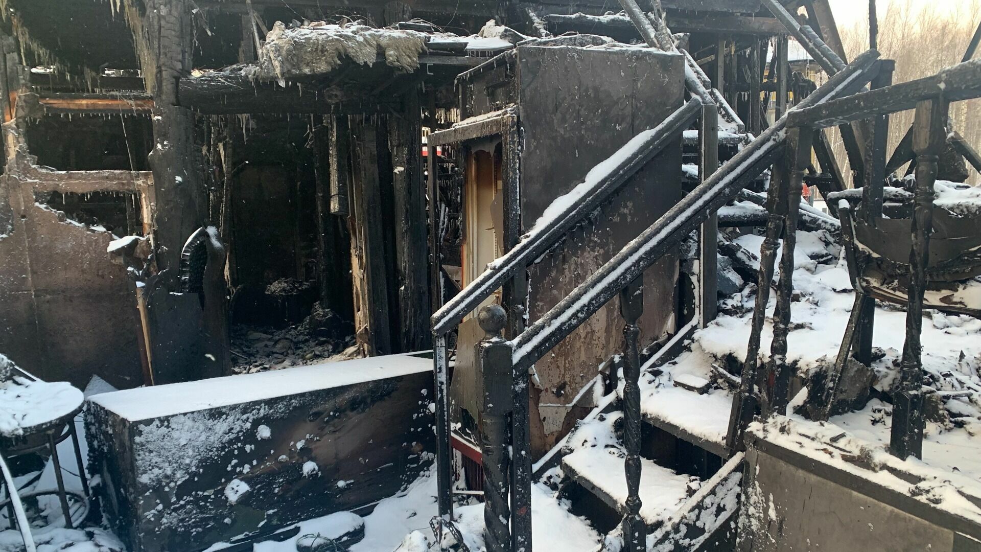 В пожаре под Екатеринбургом погибли десятки собак и кошек