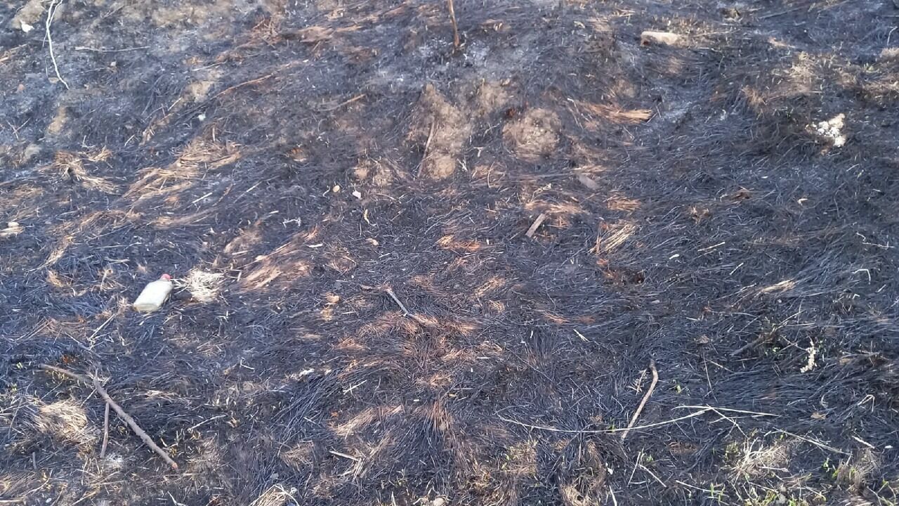 В Нижнем Тагиле начали поджигать сухую траву