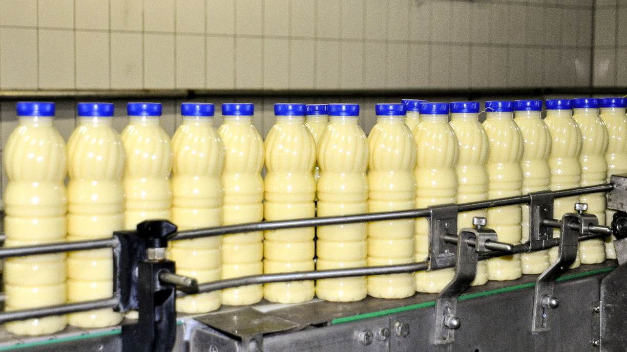 Молоко снова подорожало в Нижнем Тагиле
