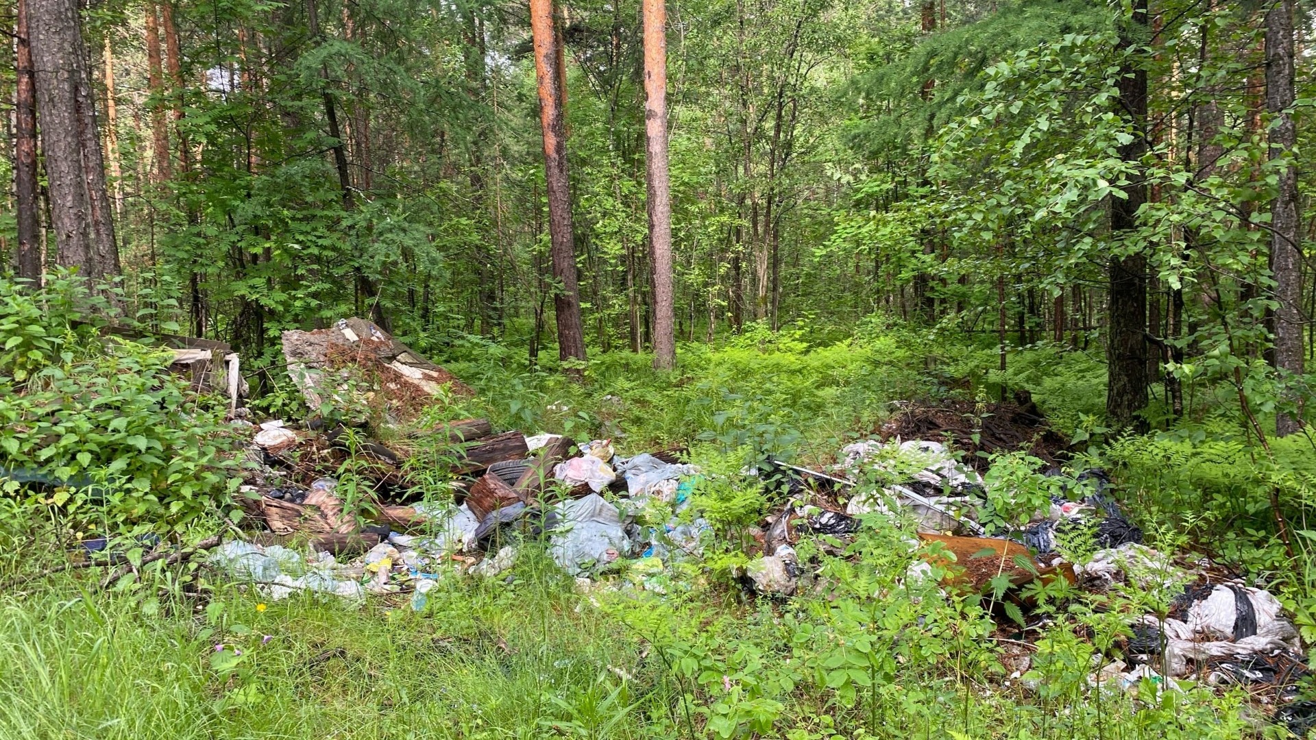 Несколько свалок мусора обнаружено на дороге рядом с Исинским трактом под Нижним Тагилом