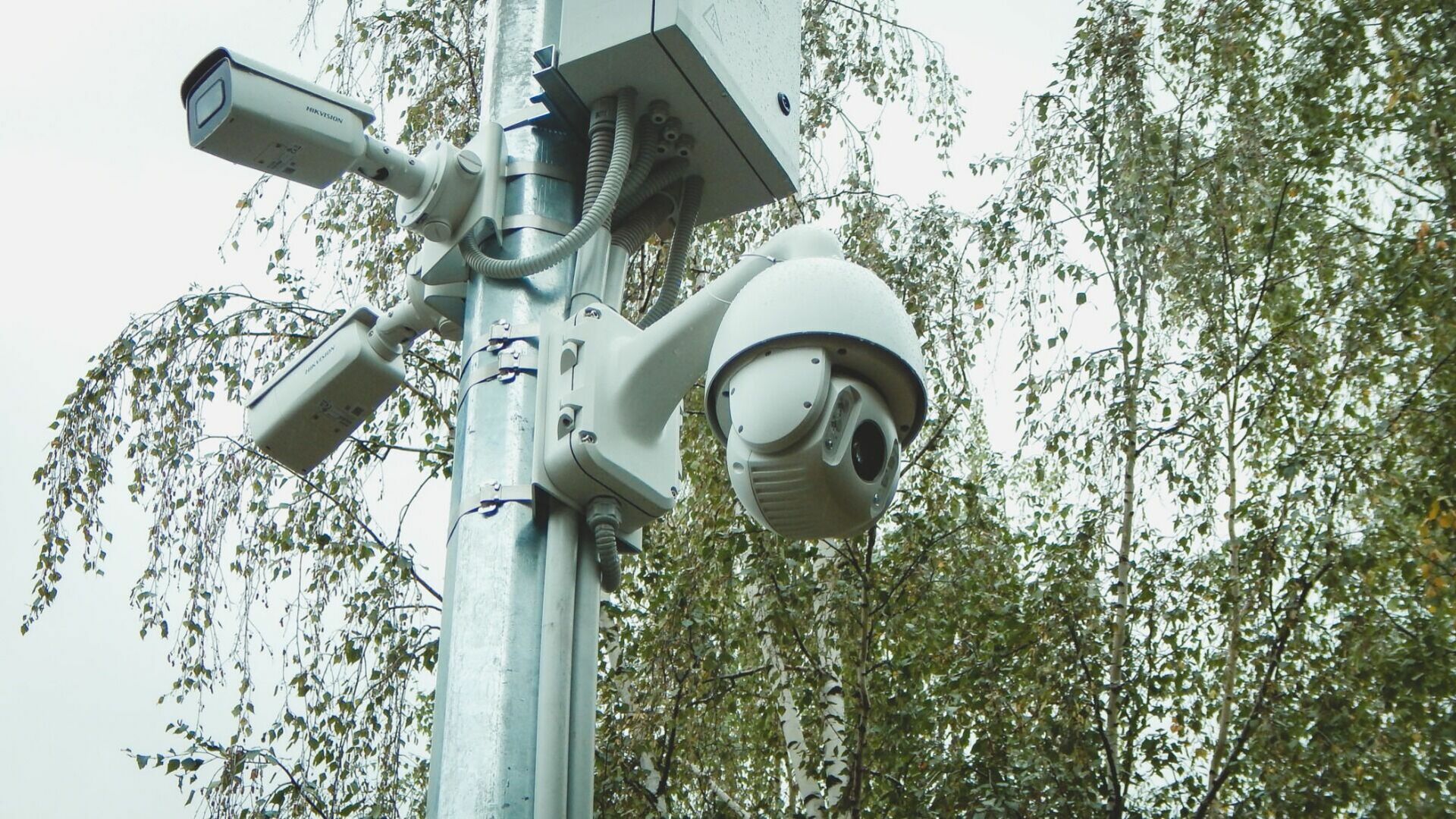 В Свердловской области появились камеры для фотофиксации непристегнутых водителей