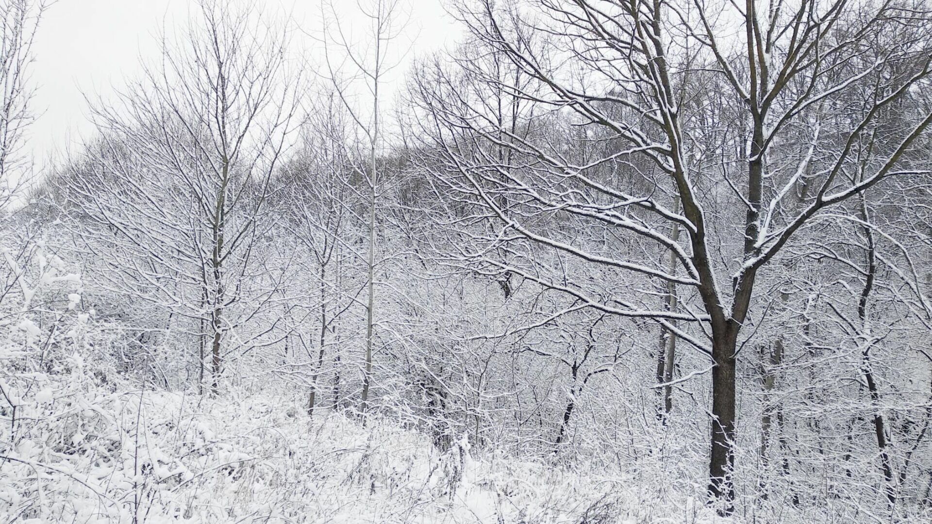 Сильные снегопады, заносы и метели ожидаются в Свердловской области