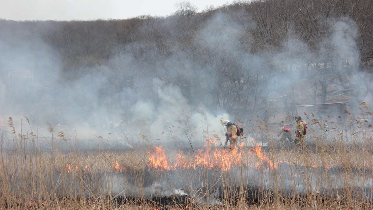 За сутки потушены десятки лесных пожаров в Свердловской области