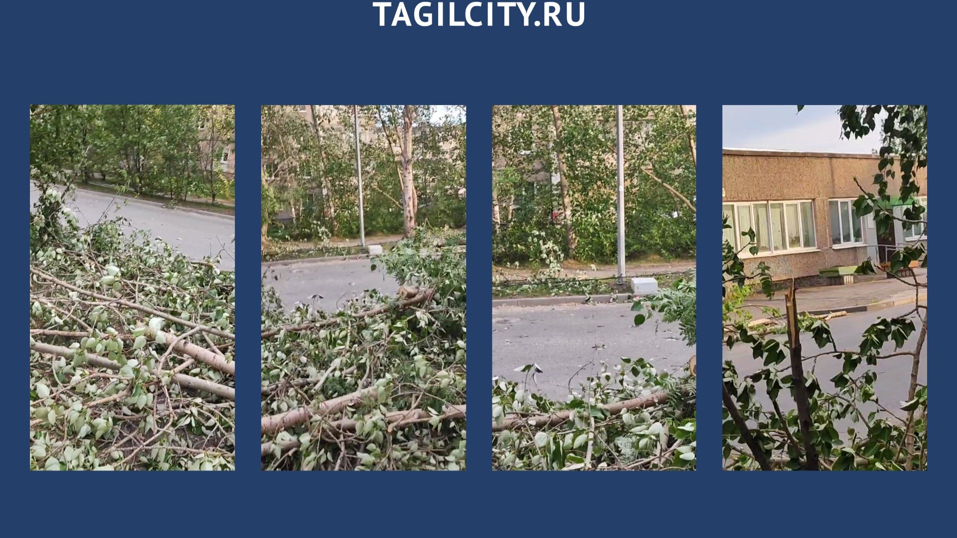 Деревья упали на автомобили и провода из-за ураганного ветра 29 мая в Нижнем Тагиле