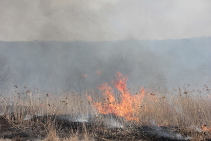 Жителей Первоуральска попросят не выходить из дома из-за пожара у горы Волчиха