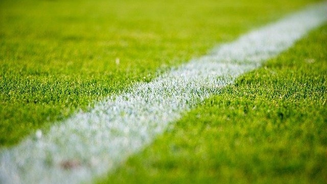 Футболист из Чехии решил приостановить свой контракт с московским «Спартаком»