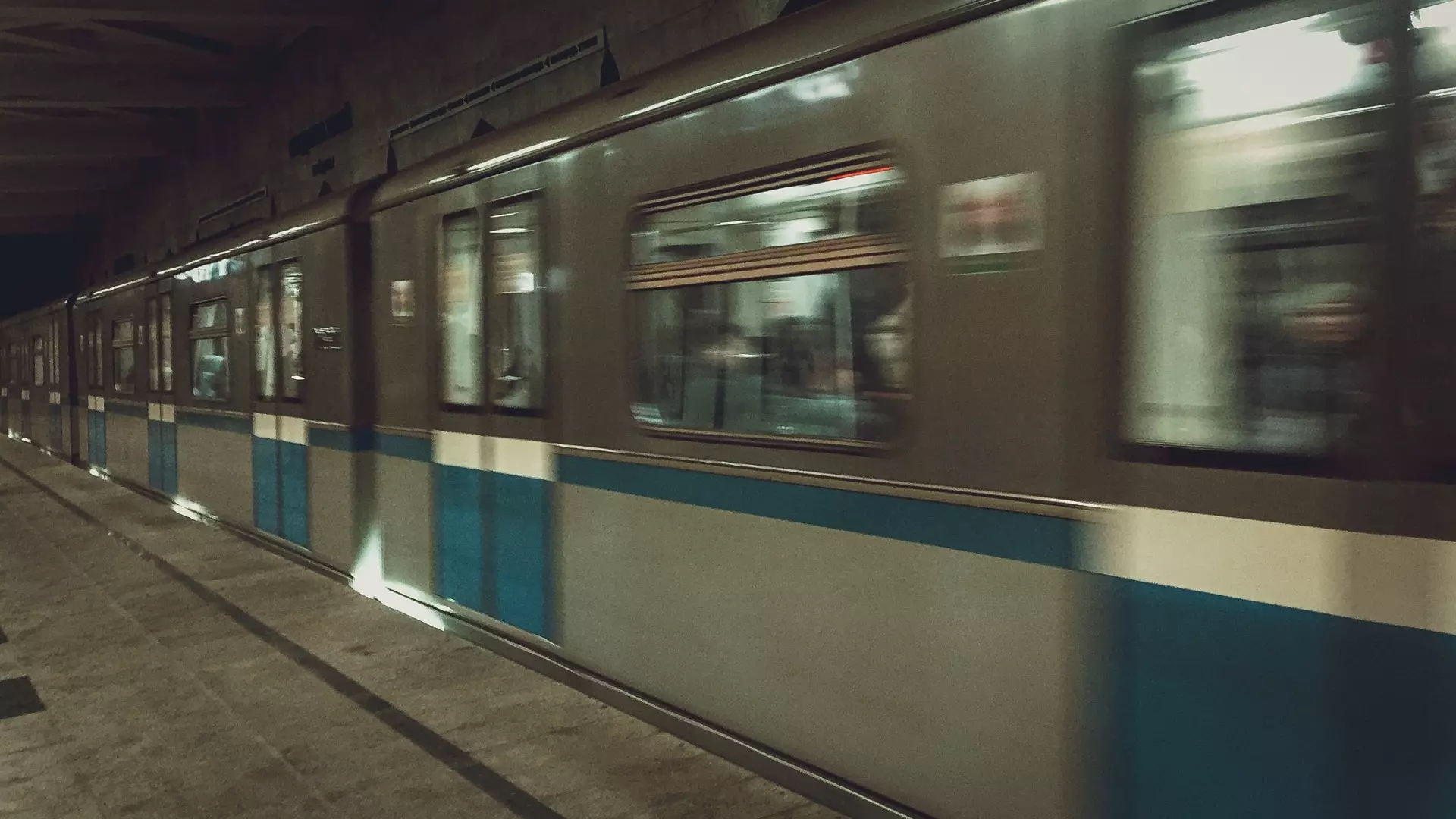 В Москве шпиц упал под поезд на станции метро Сокольники